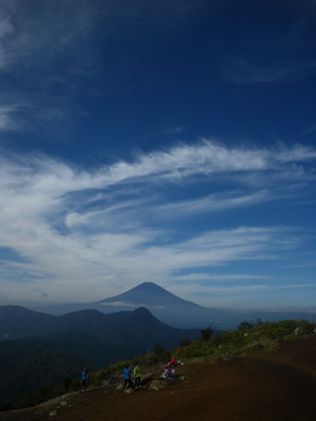 今日も訓練登山デス。<br />知り合いにオススメされた「明神ヶ岳」と「明星ヶ岳」へ。<br /><br />明神ヶ岳は神奈川県南足柄市と箱根町の境にある標高1169mの山で<br />箱根外輪山の一つ。<br />山頂からは富士山が見れるらしい。<br /><br />お天気にも恵まれ、とーっても素敵な山行になりました^^<br /><br />