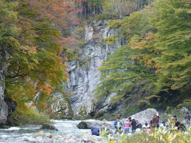 会社の皆さんと芋煮会をしてきました。<br /><br />場所は、秋保温泉の温泉街を少し通り越したところにある「木の家」ロッジ。<br />天守閣自然公園のそばにあります。<br />http://www.akiu.net/kinoie/<br /><br />前日まで雨が続き川の流量が増加していたので、いも煮は河原ではやらずに借りたロッジのそばで楽しみました。<br /><br />紅葉は本格的な色つきまではもう少しといった段階でしたが、<br />ところどころ色付いた木々と川の流れの景色がとてもきれいでした。<br /><br />でも空気もきれいでとても気持ちよかったです。<br /><br />いも煮の方も、鍋だけではなく、バーベキューを織り交ぜ、いろいろな味を楽しみました。<br /><br />帰りは、おはぎで有名になっている「佐市」スーパーに立ち寄り、おはぎを買って帰りました。<br /><br />こちらも甘すぎず(あんこ)おいしかった!<br />