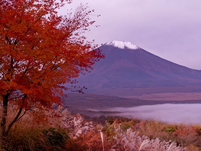 11月に入り富士山も美しくなりました。