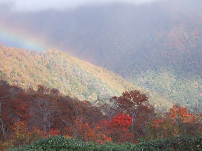 紅葉を見に谷川岳に行きました。<br />今年は例年より紅葉が遅く、水上温泉の周辺は<br />まだ紅葉していませんでした。<br /><br />お目当ての谷川岳もようやく色づき始めた頃で<br />期待した程には紅葉を見ることができませんでしたが<br />代わりに大きな虹を楽しむことができました。