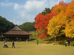 晴れの国　岡山 備前市紅葉情報（庶民教育の原点、国指定特別史跡「旧閑谷学校」）