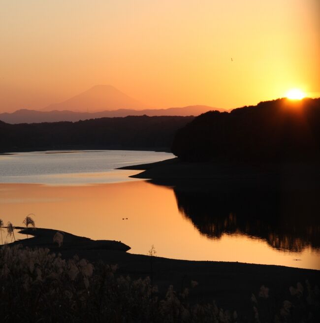 狭山湖の入り日と富士　　　2008.12.3　　16：18<br />Sunset and Mt.Fuji in Lake Sayama<br /><br />2010年の夏は記録的な猛暑が長く続き、いつになったら秋の気配が感じられるのだろうと待ち遠しく思っていました。<br />小手指の秋　五十三景では紅葉の便りが届くまでの幕つなぎです、といって秋の七草などを掲載しましたが、今回もまだ今年の黄葉・紅葉には早いようです。<br />そこで今回は私のサイクリング・コースである狭山湖・多摩湖周辺の2008年秋の風景を選んで掲載いたします。<br />モミジの他に狭山湖の湖面を囲む雑木林の黄葉や刻々と色合いが変わる夕暮れ時の富士山などを紹介します。<br />また朝の富士山もそれなりに美しいです。<br /><br />撮影　CANON EOS 40D 17/85 IS USM<br />NIKON Coolpix 5400（No.1〜No.11の写真)<br />　　 2008.12.3〜7（3日分をまとめたので朝昼晩がめまぐるしく変わります）<br />　　　所沢市山口、東京都武蔵村山市<br />──────────────────────────<br />富士の夕暮れは類似の写真集がありますので参考にご覧下さい。<br />狭山湖の入り日と富士と三日月 （45分間の入り日ショウ）<br />http://4travel.jp/traveler/810766/album/10523299/<br /><br />今年の4トラのカレンダー最終頁に採用された写真が後半にあります。<br /><br />お気に入りブログ投票（クリック）お願い<br />http://blog.with2.net/link.php?1581210<br /><br />