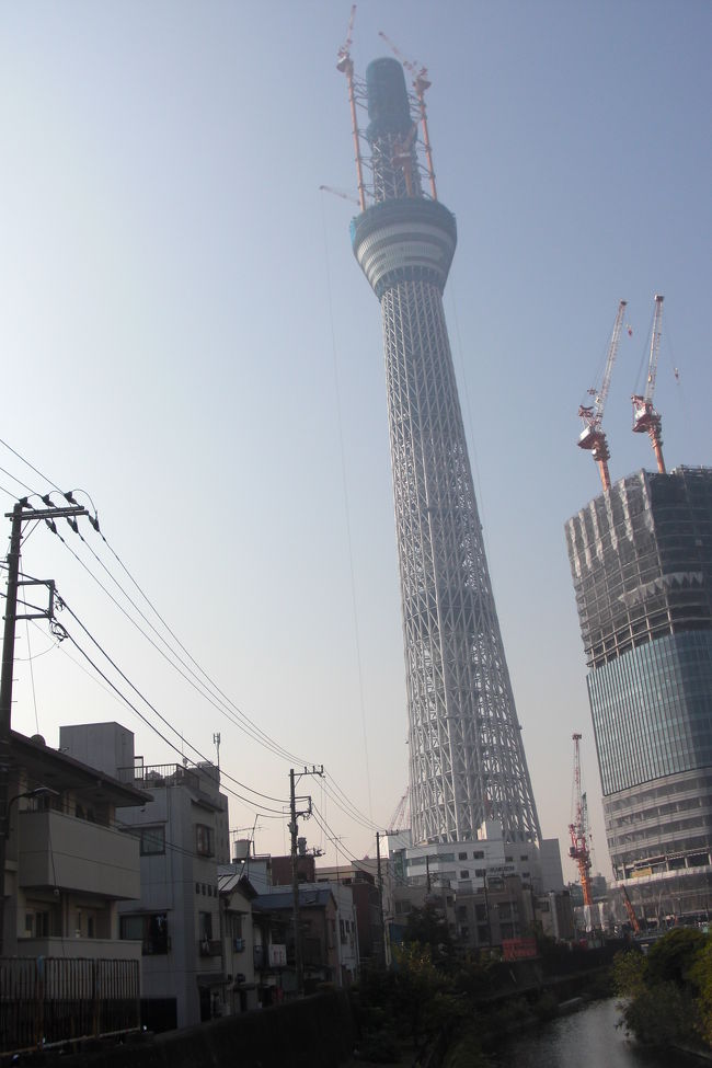 ダンナと私は別々ではよく東京に来てるんだけど、２人で歩くのは初めて。<br />お互いのお勧めなどを巡る１日です。