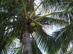 10月ハワイ　～4日目～