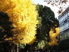 東京都心の秋景色 日比谷・虎ノ門・霞が関 Autumn Colar in　Central Tokyo/Hibiya,Toranomon,Kasumigaseki