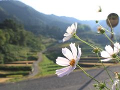 福岡⇔大阪、広島待ち合わせツーリング、その1。