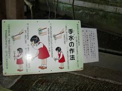 しらす丼を食べたくて･･･