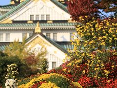 秋の大阪城は菊が満開　「第４７回大阪城菊の祭典」 ２回目