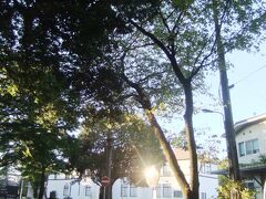 森の中にひっそりと佇む滝乃川学園を訪ねて