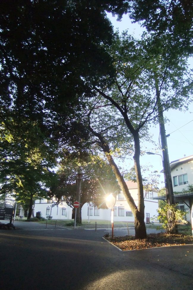 ハンディキャップを持つ人々を対象とした教育施設「滝乃川学園」を訪ねてみました。<br /><br />本学園は、日本最古の知的障害者のための教育実践の場として創立者石井亮一によって最初1891年（明治24）に 東京北区滝乃川に設けられましたが、1928年（昭和３）に現在地に移転・新築されました。滝乃川学園の名前は、最初の建設地に因んで付けられたものです。<br /><br />学園所在地は、国立市谷保6312で、ＪＲ南武線「矢川駅」下車徒歩７分ほどの静かな森の中にあります。<br /><br />滝乃川学園にはホームページがありますので、ご覧になってみてください。<br /><br />　http://takinogawagakuen.jp/