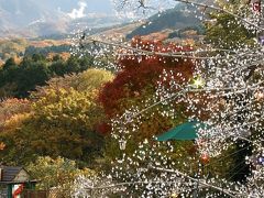 クリスタル・イルミネーションに箱根の秋色！