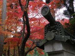 2010.11.13　京都でちょっとマイナーな紅葉狩り