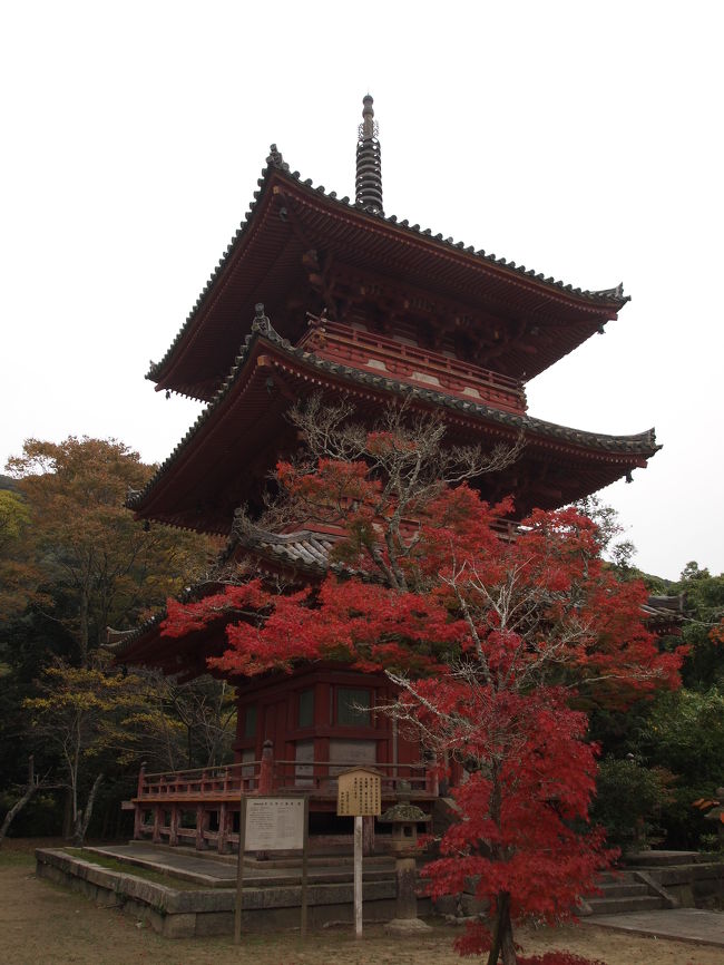 兵庫県小野市にある浄土寺、この寺の浄土堂に安置されている国宝阿弥陀三尊は、鎌倉初期の名仏師快慶の作です。<br /><br />この国宝である浄土堂の背面の透かし蔀戸（しとみど）からさしこむ西陽が、この阿弥陀三尊を西方極楽浄土からの来迎の姿として浮かび上がらせることによって、極楽浄土を表現しているお堂です。<br /><br />いつものように中国自動車道の停滞はものすごいため、名神と阪神高速を使って兵庫に入ることにします。<br /><br />それならばということで、兵庫の国宝の本堂がある太山寺（たいさんじ）に寄って行くことにしました。<br /><br />兵庫の国宝の二ヶ寺、ゆったりとした趣のある雰囲気で迎えてくれます。<br /><br />太山寺阿弥陀堂の阿弥陀如来坐像そして浄土寺浄土堂の阿弥陀三尊立像、なんとすばらしい仏さまなのでしょうか。<br /><br />【写真は、太山寺の三重塔です。】<br />