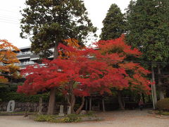 ２０１０年の 箱根の紅葉の様子、見ごろの情報です。