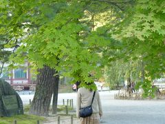 2010岩手県平泉へ日帰りドライブ　中尊寺・毛越寺・達谷巌・厳美渓