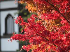 綾部安国寺　紅葉　゛もみじ゛