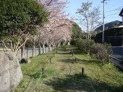 ２０１０年　春の一日