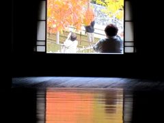 岡山/紅葉が見頃の旧閑谷学校