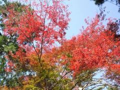 大文字山登山！　山科～大文字～哲学の道