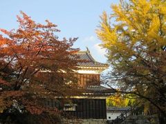 上田城跡公園の紅葉