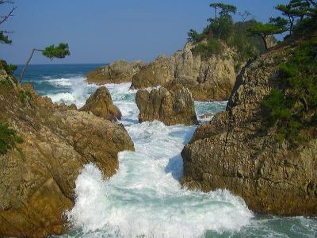 山陰海岸国立公園と言っても東は京都の京丹後市から西は今回訪ねた鳥取砂丘までの海岸沿いで１０月３日に世界ジオパークネットワーク加盟が認定されたと言う地域（山陰海岸ジオパークエリア）とほぼ重なっています。と言うよりジオパークのエリア内に国立公園がスッポリ入っています。<br />海岸線７５キロの国立公園に対しジオパークはそれより更に東西に広がる１１０キロの海岸線＆内陸３０キロ程の範囲です。<br /><br />今回の西の端の山陰ジオパーク鳥取エリアの場合、これに白兎海岸が加わります。<br />認定後はそれぞれの地域での早々とイベントも計画されているようで町の活性化へ向け期待感が高まっています。<br /><br />○行程<br />岡山（comeva邸）＝＝岡山IC＝＝岡山道＝＝落合IC＝＝神代の四季桜＝＝湯原湖＝＝倉吉＝＝白兎神社＝＝鳥取砂丘（ラッキョウの花畑等）＝＝浦富海岸＝＝智頭町（板井原集落＝＝三滝園）＝＝岡山<br /><br />まず往路朝一は岡山道を利用して岡山県内の真庭市にまわり道、ここで丁度見頃を迎えている神代の四季桜を見物に、その後湯原温泉から鳥取県は倉吉に抜け日本海側へと出て来ました。<br />ここから国道９号線を一路東、鳥取方面へと走り、途中因幡の白兎でお馴染みの白兎神社経由で鳥取砂丘、浦富海岸をメインに復路はリベンジと言う訳ではありませんが、今月の３日に行きそびれた板井原集落へ寄道、又同じ智頭町の三滝園の紅葉が気になってましたのでこちらの方へも足を延ばしてみました。<br /><br />※山陰海岸ジオパーク<br />山陰海岸の特徴は、2500万年前から1500万年前にかけて大陸から日本列島が分離して日本海ができたときの火山活動に伴う岩石・地層が海岸に見られるとともに、鳥取砂丘などの砂丘や砂州と、岩石の荒々しい侵食海岸の対照もみどころです。<br />　京丹後市網野海岸から、鳥取市鳥取砂丘までの７５kmは、昭和３８年に山陰海岸国立公園に指定されました。東部の久美浜湾、小橋立や西部の鳥取砂丘は、河川からの堆積物によって、河口に独特の地形をつくり出し、なかでも、鳥取砂丘は日本を代表する海岸砂丘となっています。また、中央の但馬海岸は、地殻変動や火山活動、海蝕によって、国指定天然記念物の「玄武洞」名勝「香住海岸」に代表される入り組んだリアス式海岸を形成しています。<br />　山陰海岸は、日本列島がユーラシア大陸の一部であった時代の岩石から今日に至るまでの経過が確認できる貴重な海岸です。これら地質遺産が位置する京丹後市、豊岡市、香美町、新温泉町、岩美町、鳥取市が山陰海岸ジオパークとして、平成２０年１２月１８日に日本ジオパークに認定されました。そして平成２２年１０月３日には世界ジオパークネットワーク加盟が認定されました。<br /><br /><br />