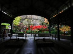 京都2010紅葉速報・チョット早めの秋都旅