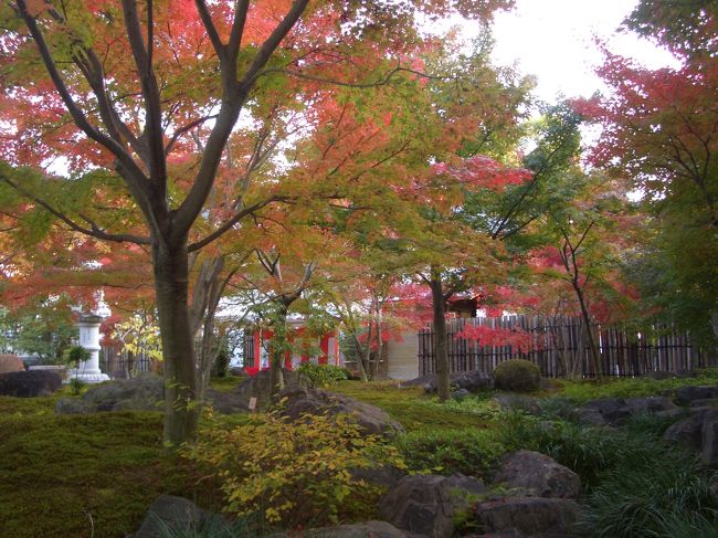 鹿島市平谷の紅葉を堪能後〜昨年閉館時間で間に合わなかった、鹿島祐徳稲荷神社の紅葉へと車を走らせる。祐徳稲荷神社は、日本の３大稲荷の一つに数えられています。参拝者は年間３００万人に達していますとのことです。<br />四季を通して、桜、ツツジに、日本庭園には、四季折々の花や、紅葉があります、日本庭園のみ２００円入場料がいりました。庭園は、こじんまりとしていました、見事な庭と紅葉でした。
