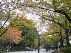 紅葉の隅田公園＆スカイツリー♪ Sumida Park in Asakusa