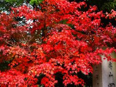 秋の定点観測奈良柳生付近