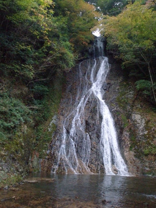 高千穂から新岩戸大橋を通って大分県境へ向かいました。その途中にあった二つ岳神社と常楽寺の瀧を御紹介します。常楽寺の瀧は常楽寺の和尚さんが瀧の水を飲んで長寿だったので別名長寿の瀧とも云われています。