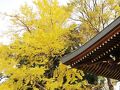 ひとり旅 ［818］ 安芸の国三大神社の境内、紅葉を観賞＜交通安全祈願の神社‘速谷神社’＞広島県廿日市市 