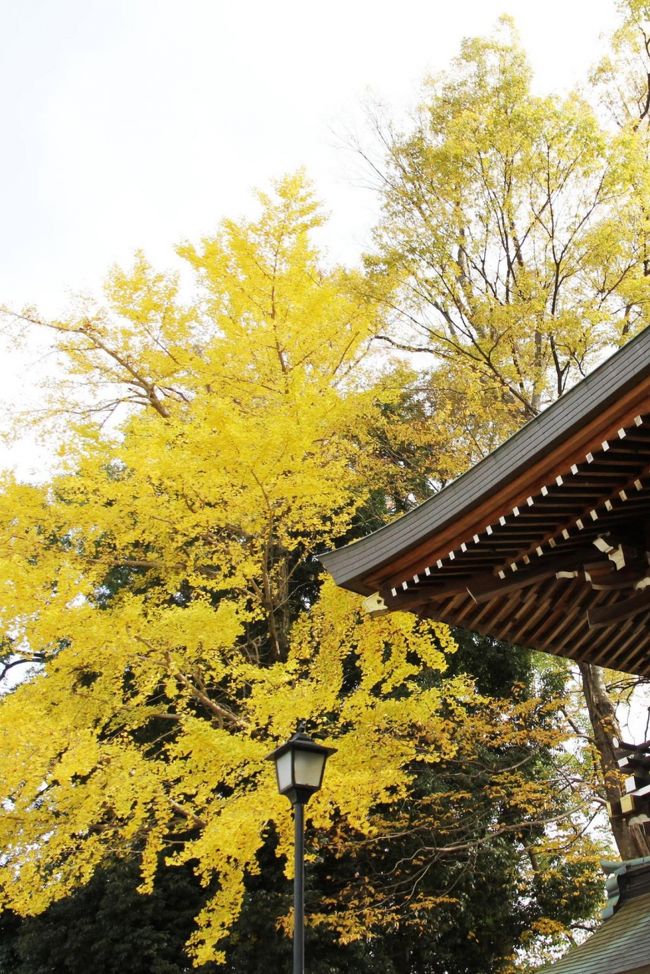 ■速谷神社（広島県廿日市市鎮座）<br /><br />　紅葉狩りドライブ ε=ε=。。ヘ(；^^)ノ。。ブー<br /><br />　古くから山陽道の守護神として信仰をあつめ、1700年あまりの歴史を持ち、かつては厳島神社よりも格の高い神社であったそうです。<br />　交通安全祈願の神社として知られ、「車を買ったら速谷さん」と遠方からの参詣者も多く、広島電鉄のバスが御祓いを受けることでも有名です。<br />　厳島神社、多家神社と合わせて安芸の国三大神社の１つといわれています。<br /><br />