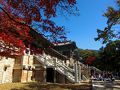 釜山＆慶州 （２）慶州リベンジ一人旅