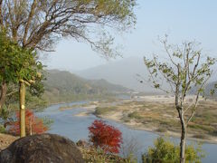 韓国の美を・・全羅南道　旅行（４）　～　朝もやと柿　～