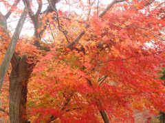 　紅葉を見に“袋田の滝”行ってきました　まずは塩原から黒羽編