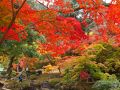 ２０１０　紅葉狩りドライブ　その２　～三次市・鳳源寺＆尾関山公園～