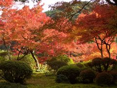 国の名勝　九年庵　紅葉見学