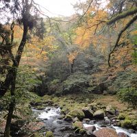 秋の熊本・紅葉＆温泉三昧の旅（２）菊池渓谷・菊池温泉
