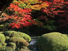 京都を歩く(68)　2010紅葉めぐり　風雅な名庭残る圓光寺・詩仙堂を訪ねる