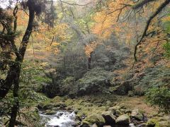 秋の熊本・紅葉＆温泉三昧の旅（２）菊池渓谷・菊池温泉