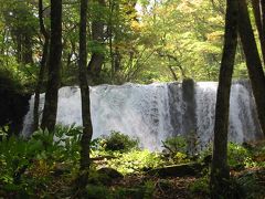 ●八甲田・奥入瀬　2008●