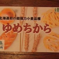 新種小麦「ゆめちから」を求めて　～その０旅行前の準備編～