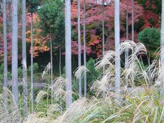 京都名庭100選プラス＞2010錦秋の非公開名庭（2）「平岡八幡宮」、「宗蓮寺」