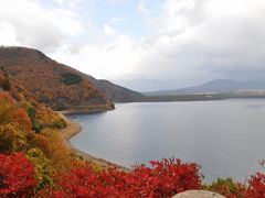 紅葉の富士五湖周遊バスツアー