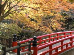 岩屋堂（瀬戸市）へ紅葉狩り