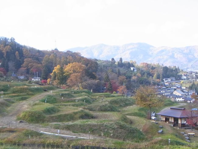 長野市のホクト文化ホールで行われるライブに行きました。日帰りですが、せっかくなので観光も楽しみました。まずは姨捨の棚田へ。そして善光寺参りです。<br /><br />この旅行記、その１は、「東京出発〜長野駅前到着〜姨捨散策の途中」まで。<br /><br />その２は、「姨捨散策〜長野駅〜善光寺大門で昼食」まで。<br />「ライブのついでに長野観光 その２（http://4travel.jp/traveler/mikaanne/album/10522286/）」<br /><br />その３は、「善光寺〜帰路」。<br />「ライブのついでに長野観光 その３（http://4travel.jp/traveler/mikaanne/album/10522306/）」