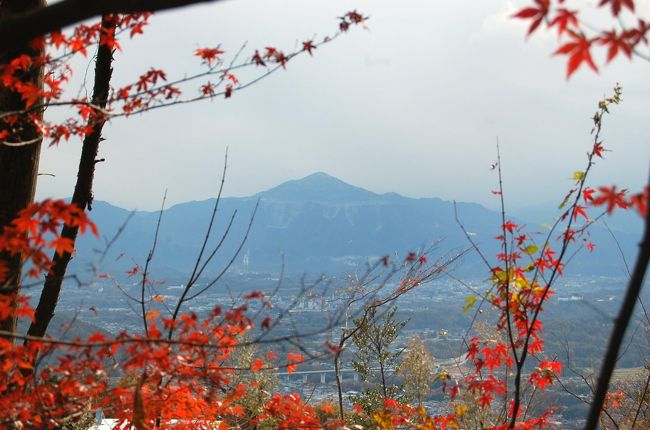 秩父鉄道主催のフリーハイキング、ちちぶプチ名山コースをベースに、会社ＯＢ仲間で長瀞の渓谷と宝登山の紅葉を楽しんできた。前日の雨で天気が心配されたが、曇り時々晴れで何とか最後まで楽しむことが出来た。 <br /><br />上長瀞駅でコ−ス参加のチケット１６０円を購入してスタート。自然博物館のライトアップ会場を見た後、哲学の道がコースだが、すぐに外れて荒川の渓谷に出る。ここから、渓谷に沿って長瀞駅まで北上する。紅葉も見ごろで、渓谷は美しい。紅葉に囲まれた、岩畳を歩き、荒川の急流を眺める。 <br />長瀞駅からは、宝登山登山。宝登山の麓の宝登山神社の周りは、紅葉のライトアップ会場になって、紅葉は赤や黄色で素晴らしかったが、この頃から雲が多くなりやや精彩を欠いた。 <br />歩いても1時間程度。思ったより、広いなだらかな道が続く。遠く秩父連山も紅葉を見せており、写真タイムを取りながらゆっくりと登っていった。<br />1時間あまりで、山頂、奥宮へ。紅葉や山々の景色は良かったが雲が多くちょっぴり残念だった。<br />