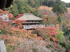 2010.11.20　京都で定番の紅葉を楽しむ