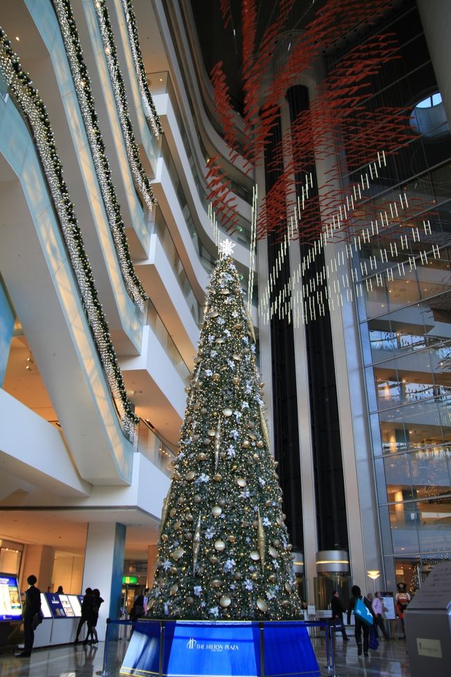 ザ・リッツ・カールトン大阪からブリーゼブリーゼへ行き、ヒルトンホテル方向へ向かう途中で見つけました。<br />ここは去年も大きなクリスマスツリーを飾っていたのですが、今年は情報が全く無く、実際にみて初めて気づきました。<br /><br />