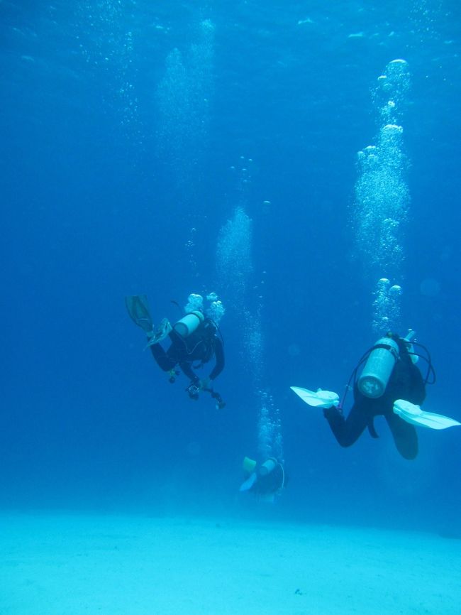 金曜の夜出発→月曜帰りの３泊4日、沖縄慶良間（阿嘉島）へ週末弾丸旅行。<br /><br />旅のメインテーマはダイビング<br />　サブテーマは那覇（首里城）散策です。<br /><br />※この旅行記は阿嘉島ダイビング編です。